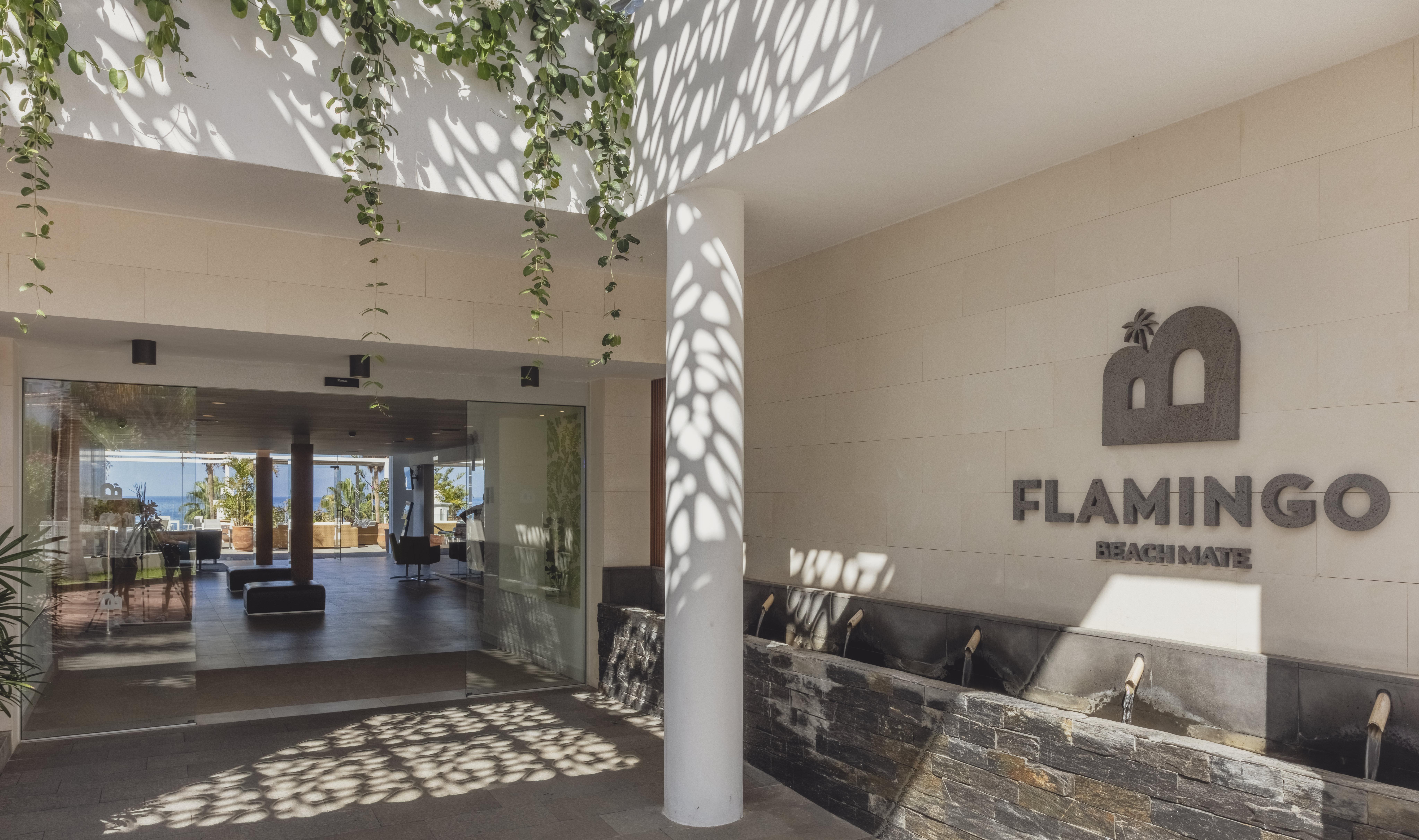 Flamingo Beach Mate Costa Adeje  Exterior photo