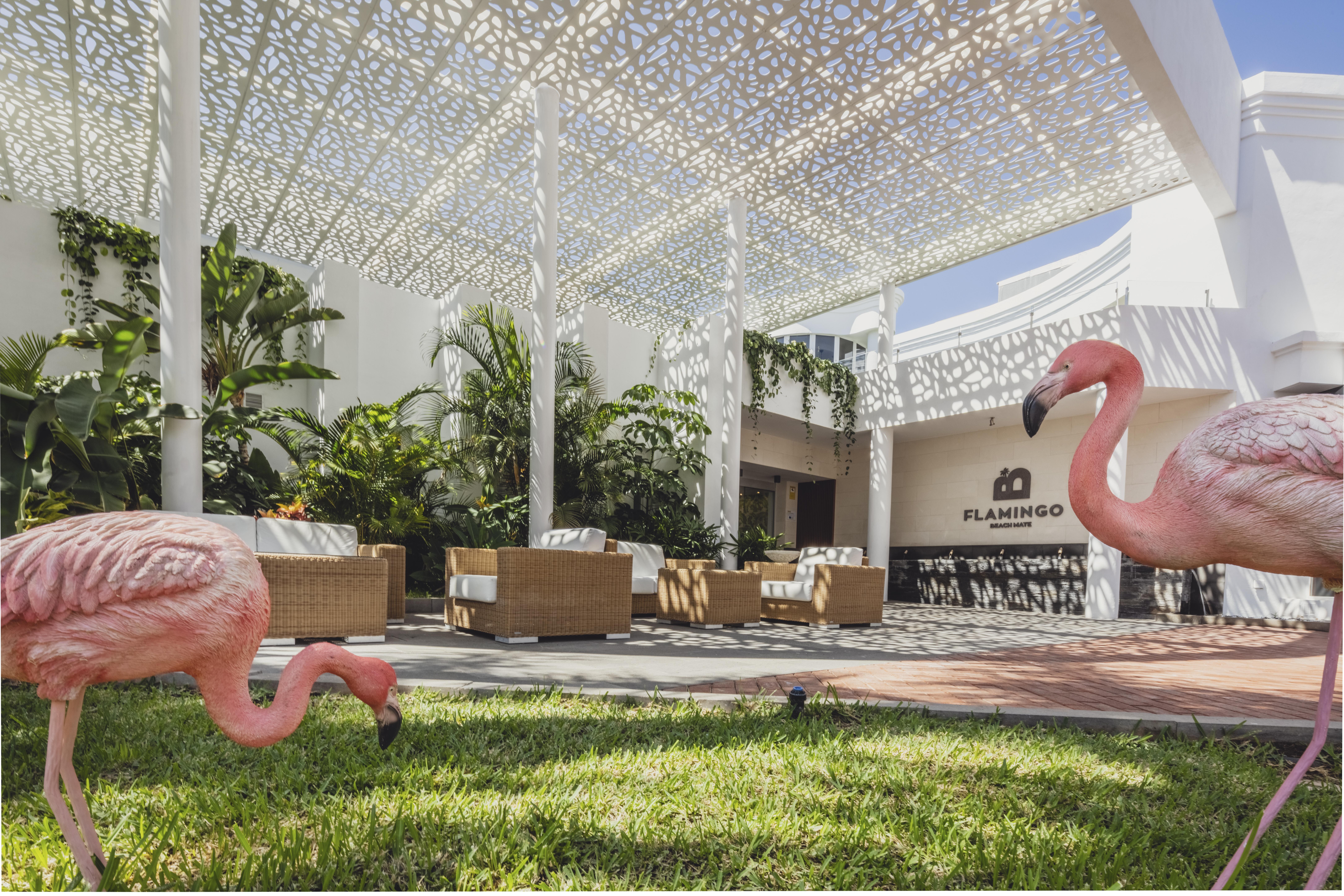 Flamingo Beach Mate Costa Adeje  Exterior photo