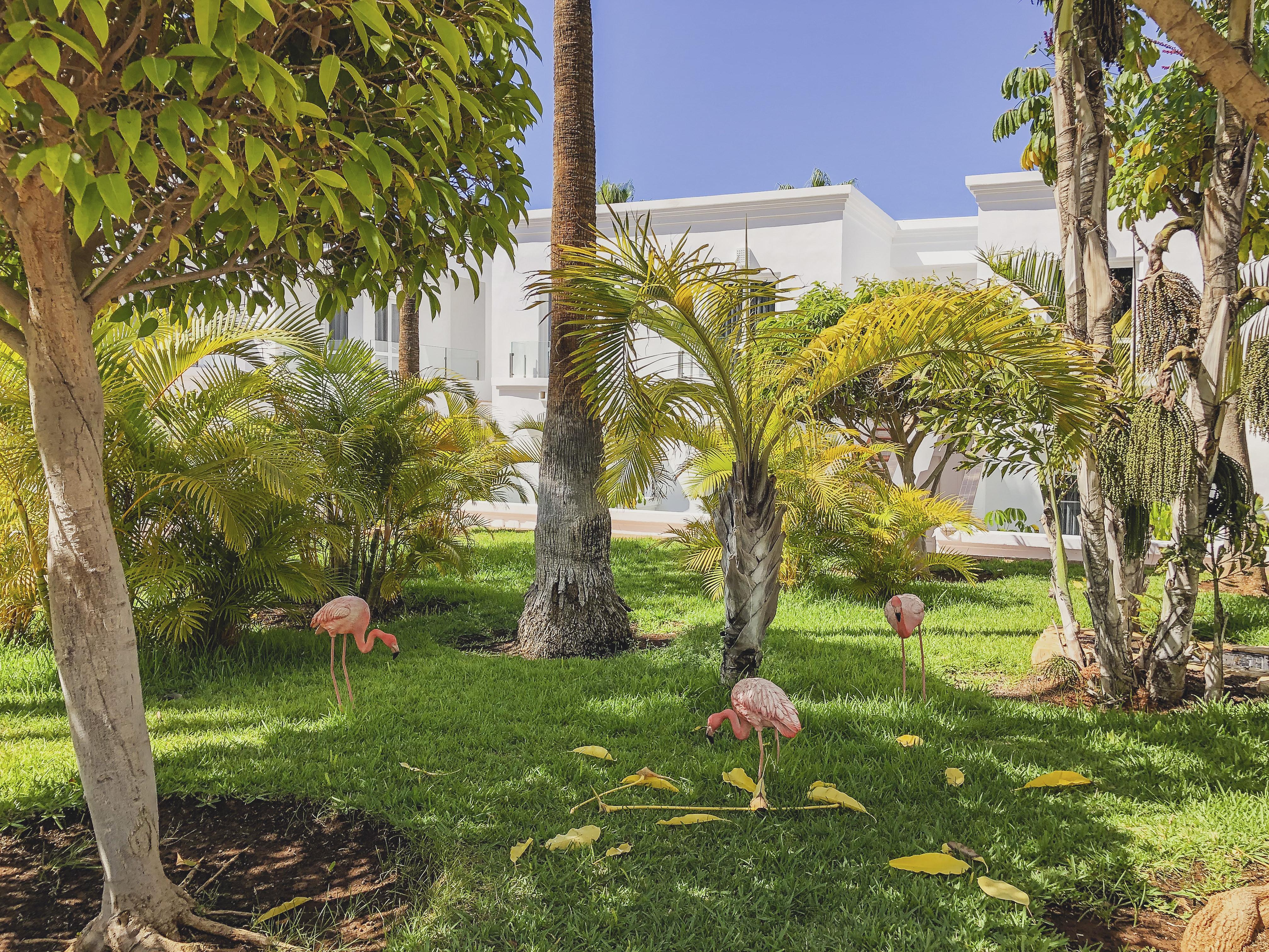 Flamingo Beach Mate Costa Adeje  Exterior photo